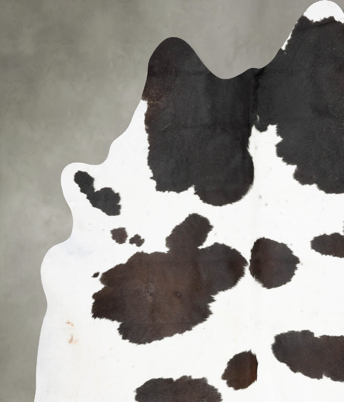Black and White XX-Large Brazilian Cowhide Rug 8'6"H x 7'4"W #B29456 by Hudson Hides
