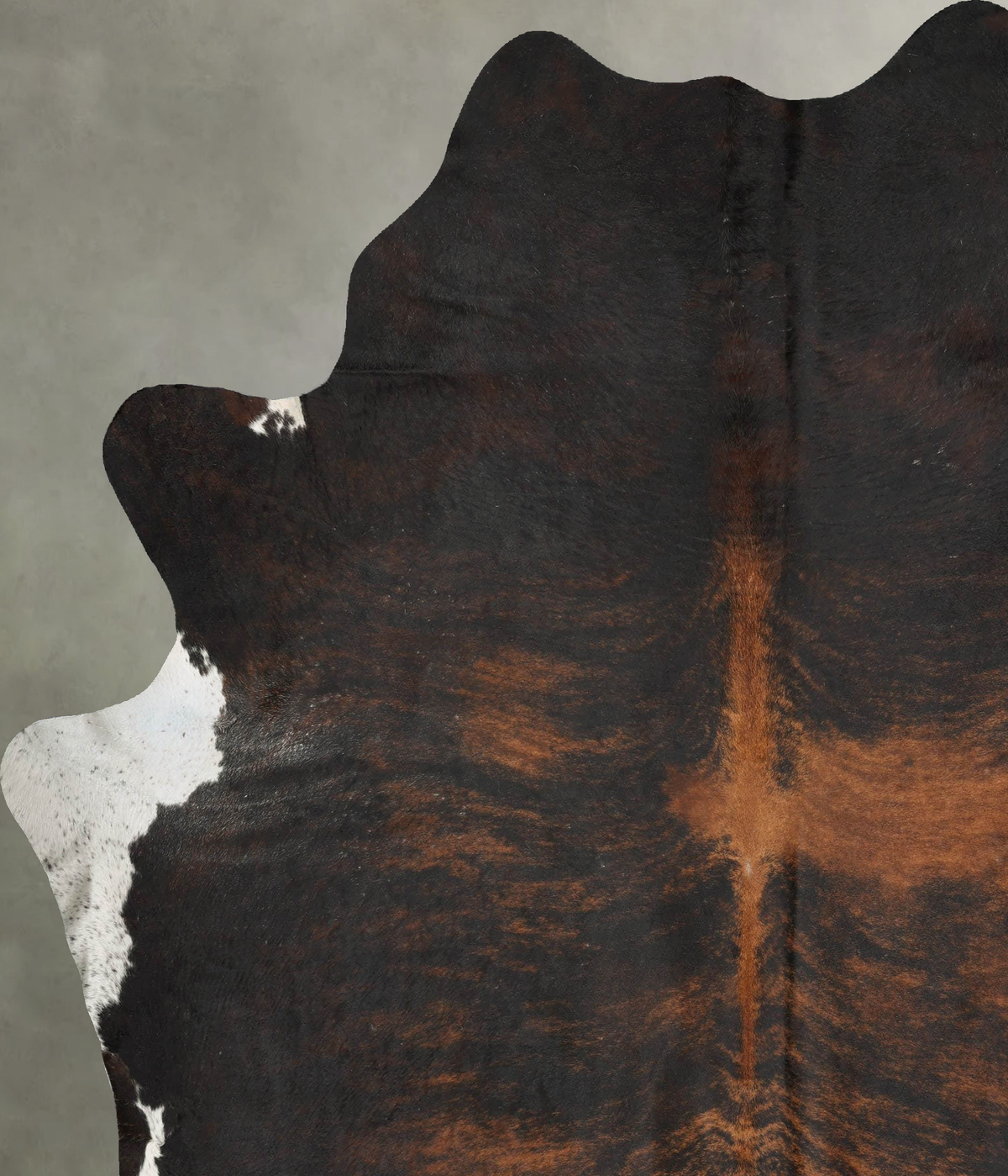 Dark Brindle XX-Large Brazilian Cowhide Rug 9'0"H x 7'5"W #B29458 by Hudson Hides