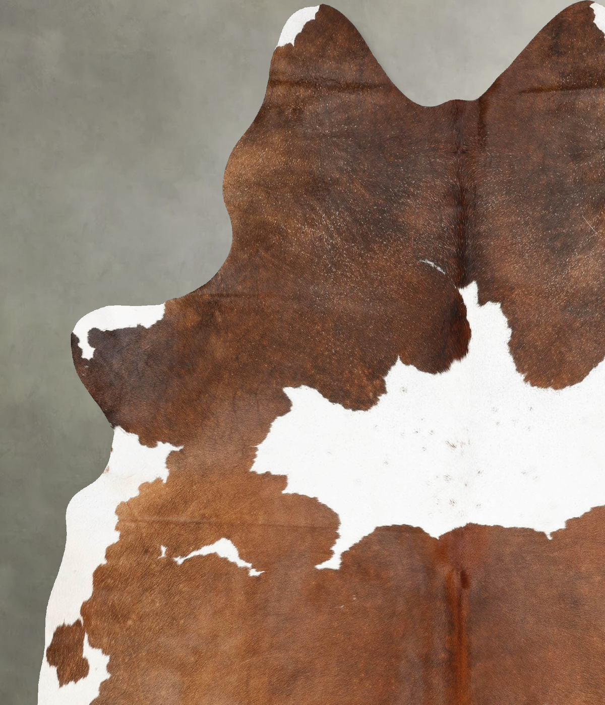 Chocolate and White XX-Large Brazilian Cowhide Rug 8'3"H x 6'4"W #B29476 by Hudson Hides