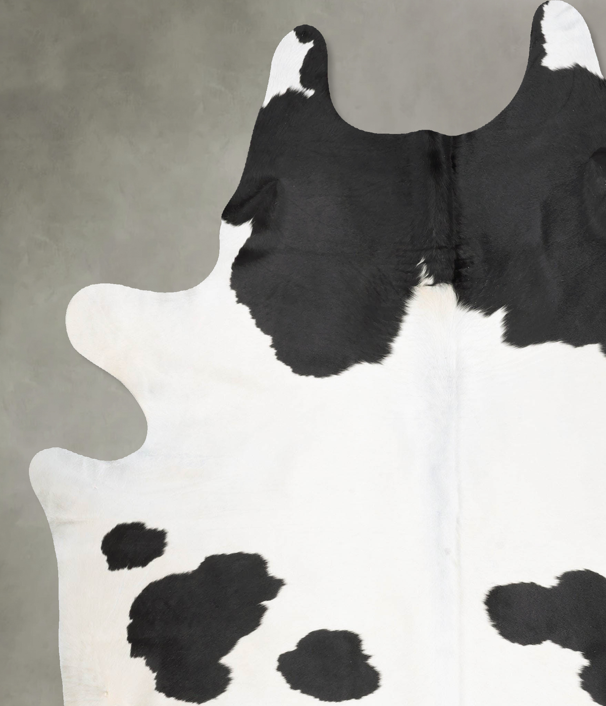 Black and White XX-Large Brazilian Cowhide Rug 8'4"H x 6'11"W #B29479 by Hudson Hides