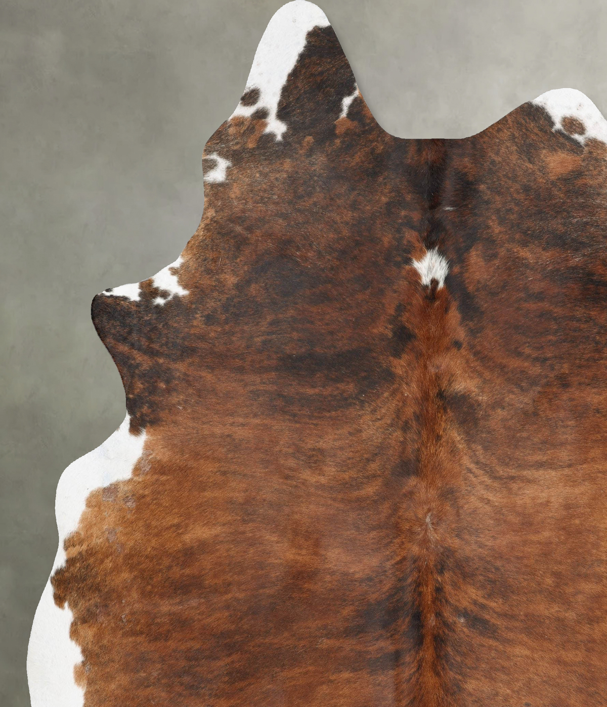 Medium Brindle XX-Large Brazilian Cowhide Rug 8'11"H x 7'0"W #B29484 by Hudson Hides
