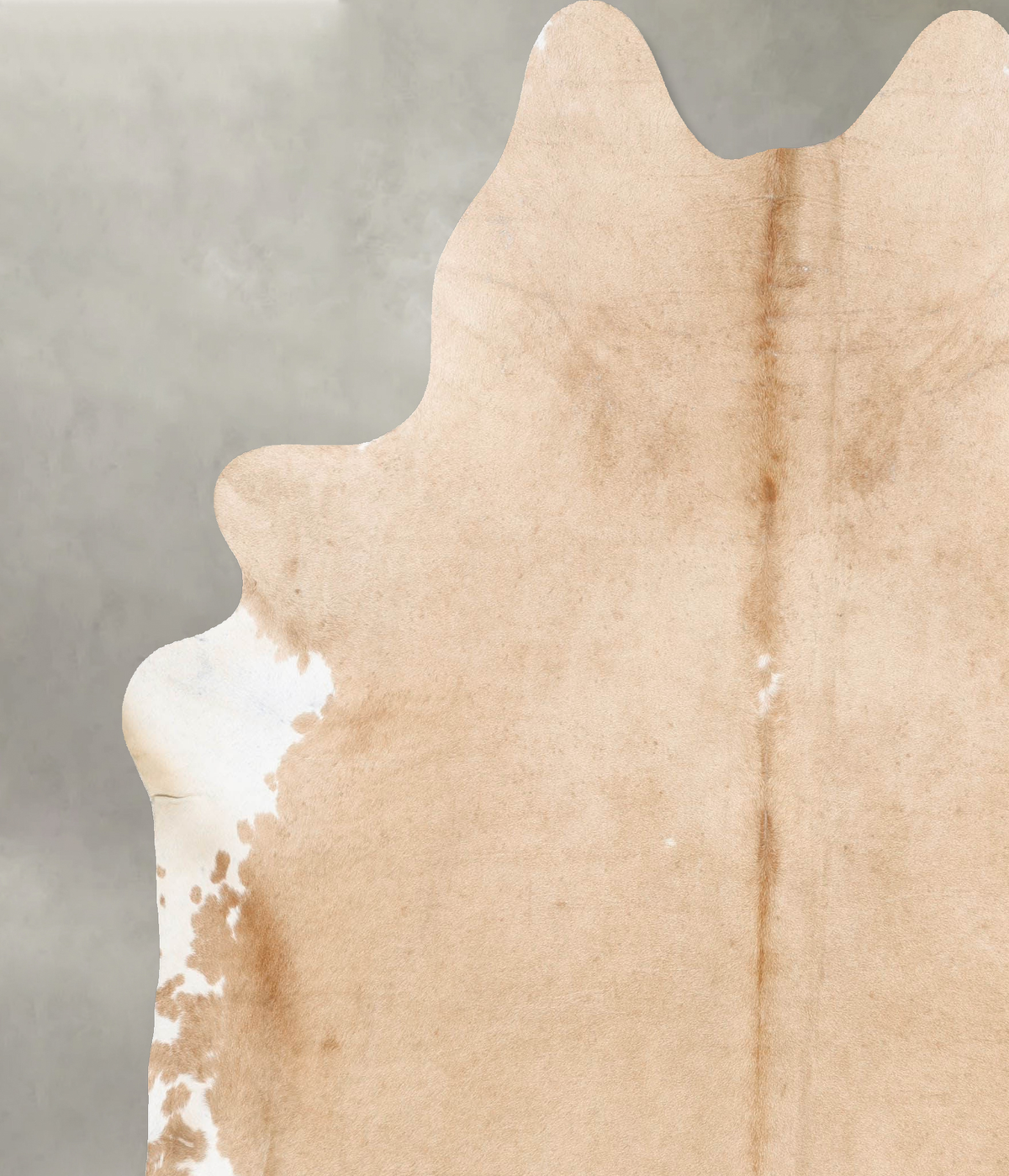 Palomino XX-Large Brazilian Cowhide Rug 8'1"H x 7'0"W #B29486 by Hudson Hides