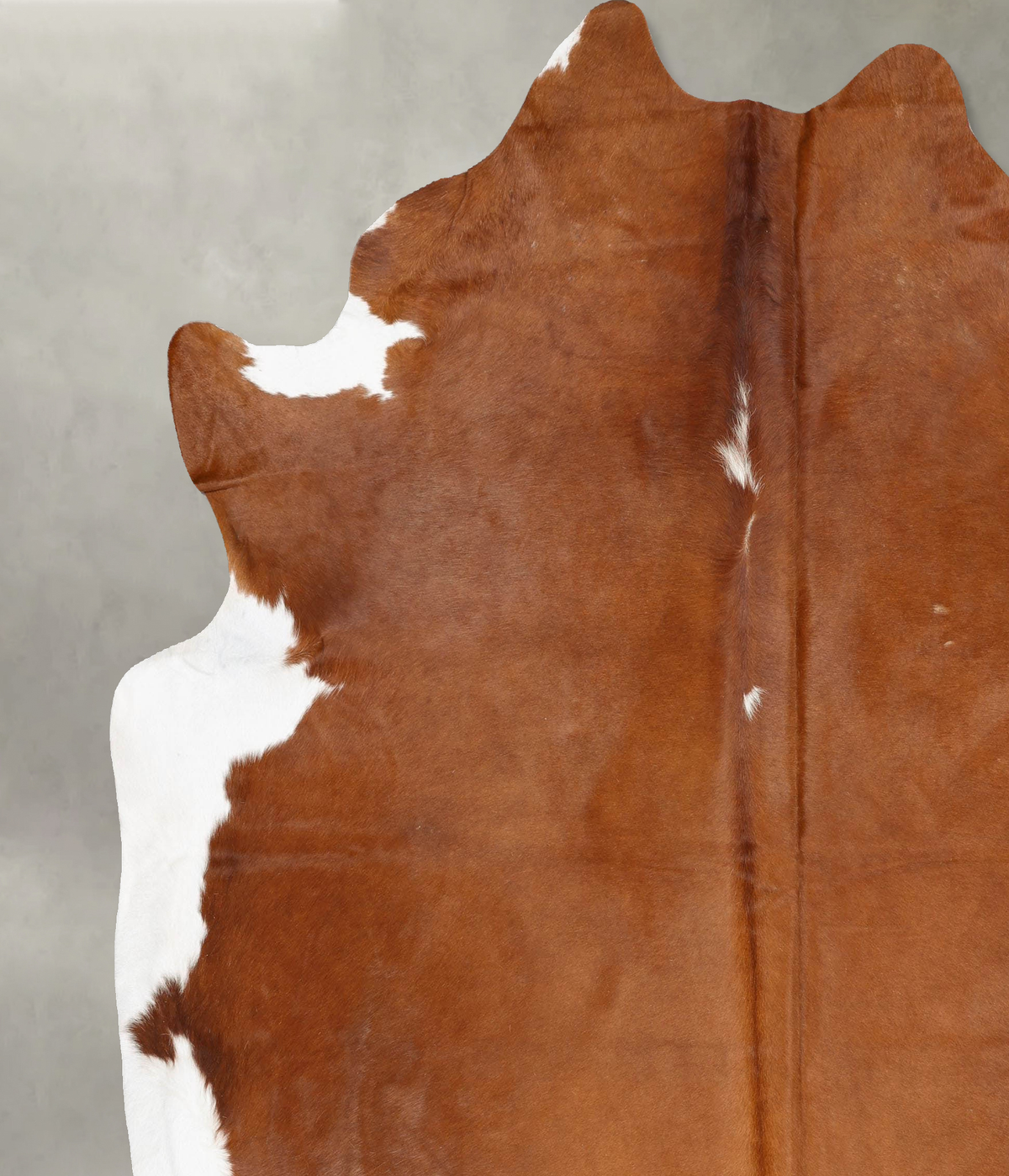 Brown and White Regular XX-Large Brazilian Cowhide Rug 8'7"H x 7'7"W #B29492 by Hudson Hides