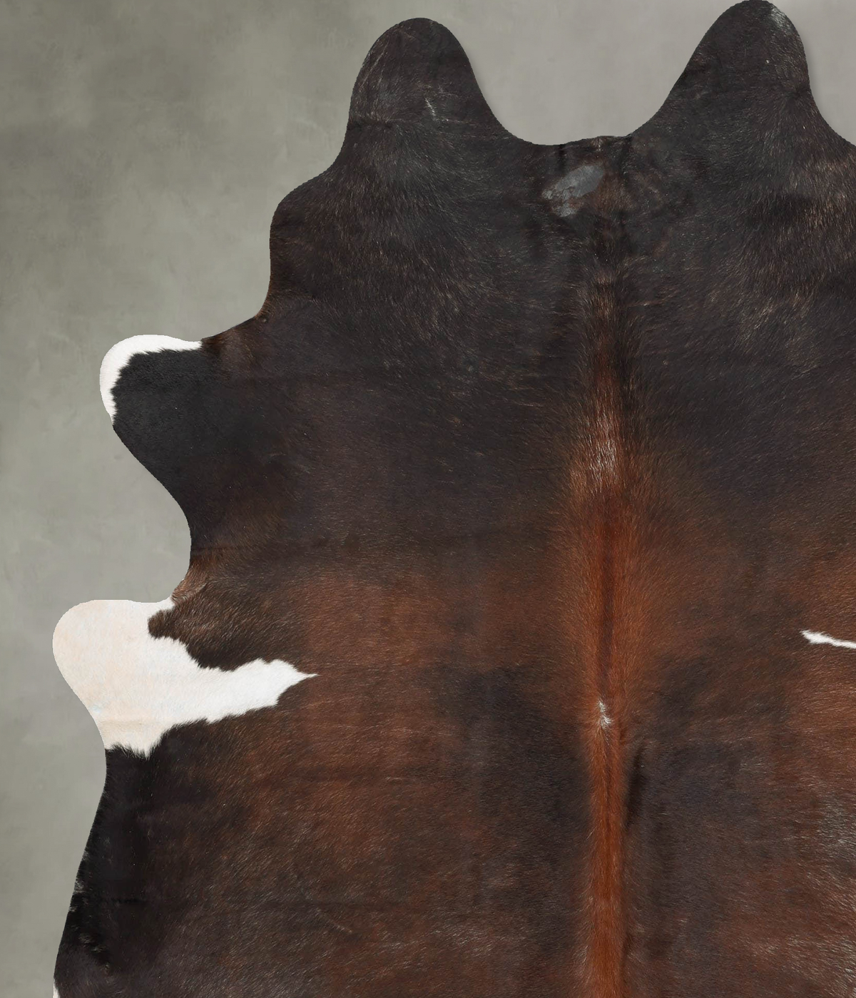 Chocolate and White XX-Large Brazilian Cowhide Rug 7'11"H x 6'6"W #B29494 by Hudson Hides