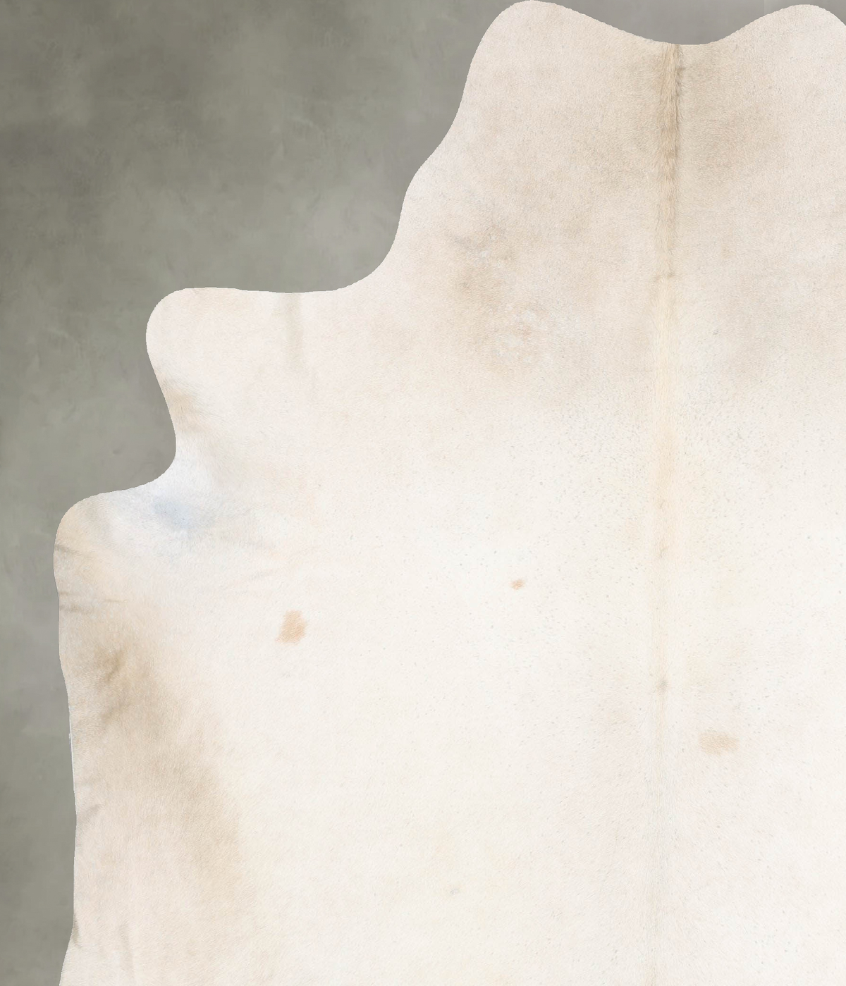 Champagne XX-Large Brazilian Cowhide Rug 8'3"H x 7'0"W #B29495 by Hudson Hides