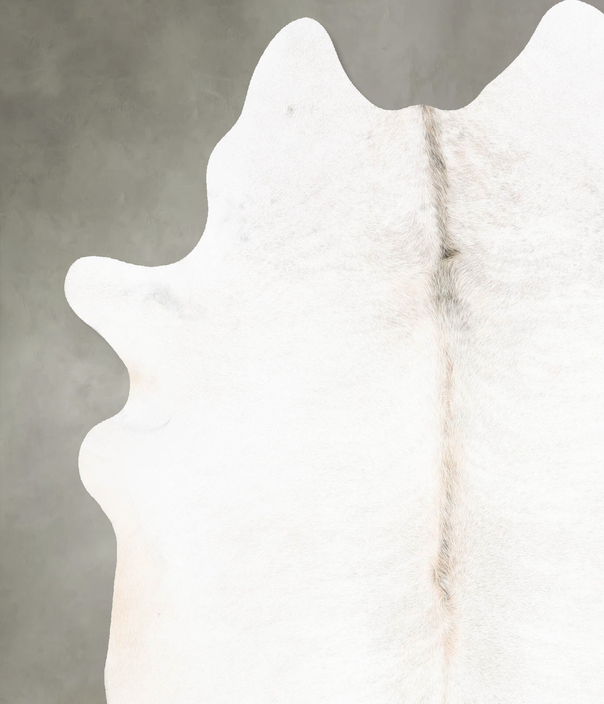 Light Grey XX-Large Brazilian Cowhide Rug 7'10"H x 6'5"W #B29501 by Hudson Hides