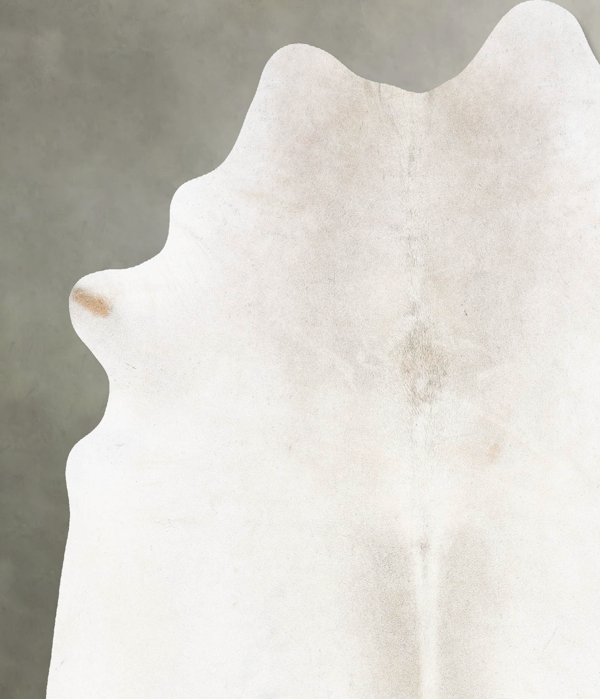 Light Grey XX-Large Brazilian Cowhide Rug 8'2"H x 7'1"W #B29505 by Hudson Hides