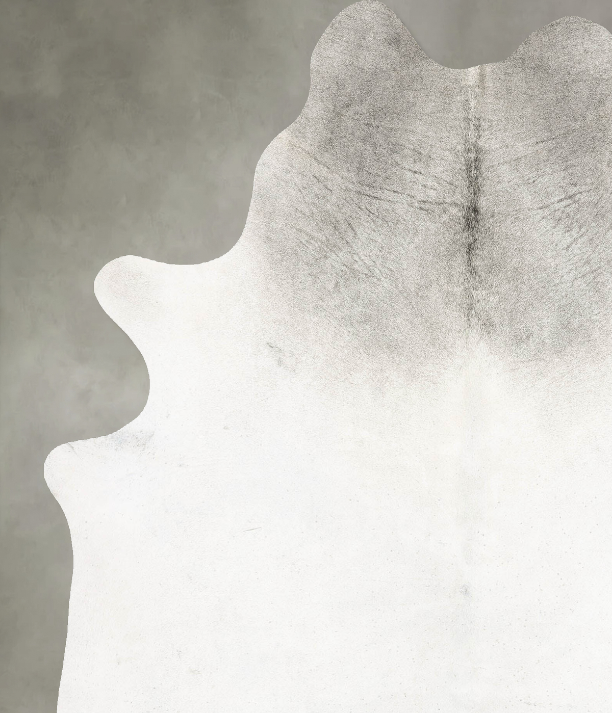 Light Grey XX-Large Brazilian Cowhide Rug 8'2"H x 6'2"W #B29508 by Hudson Hides