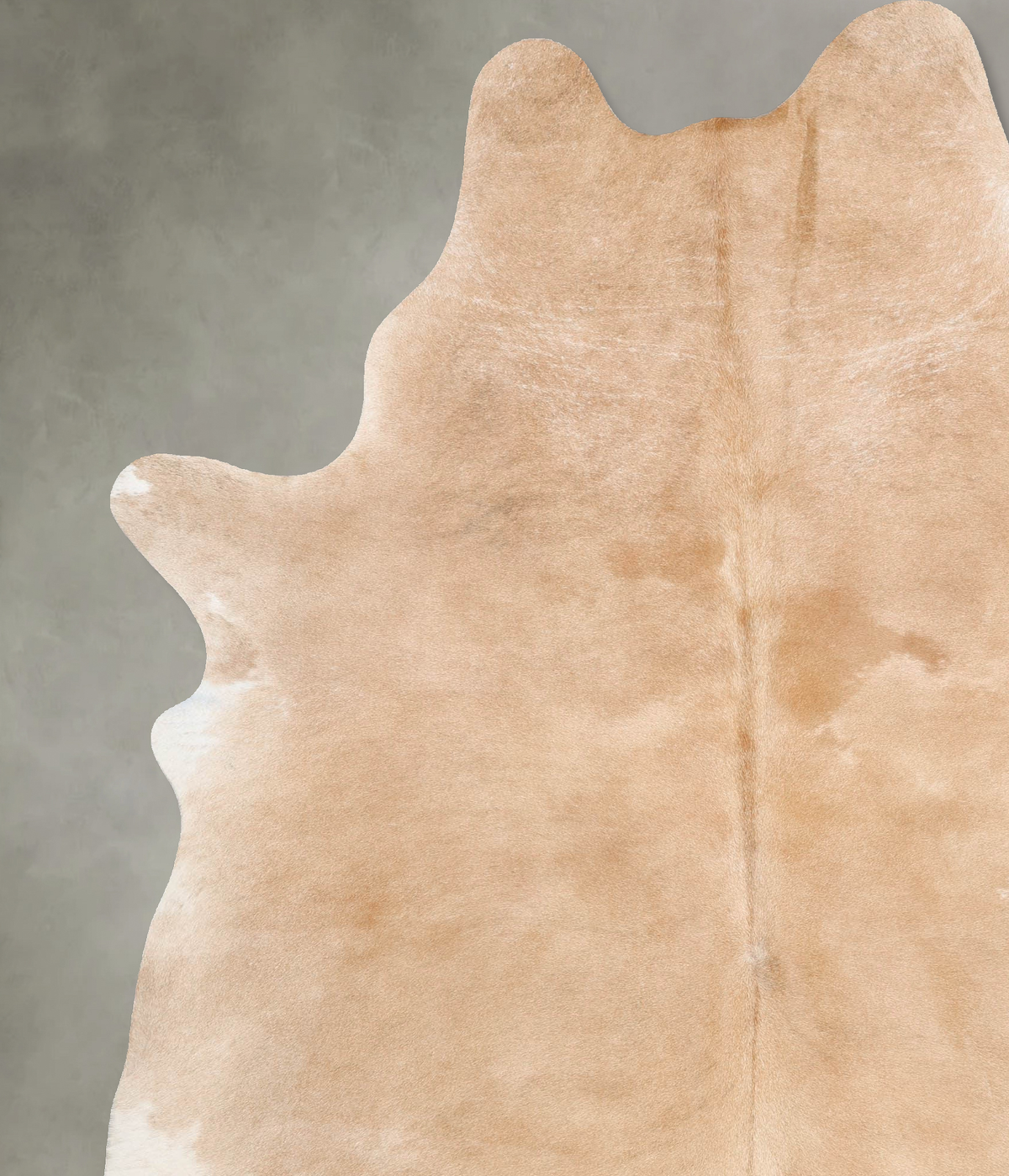 Beige and White XX-Large Brazilian Cowhide Rug 8'8"H x 6'7"W #B29511 by Hudson Hides