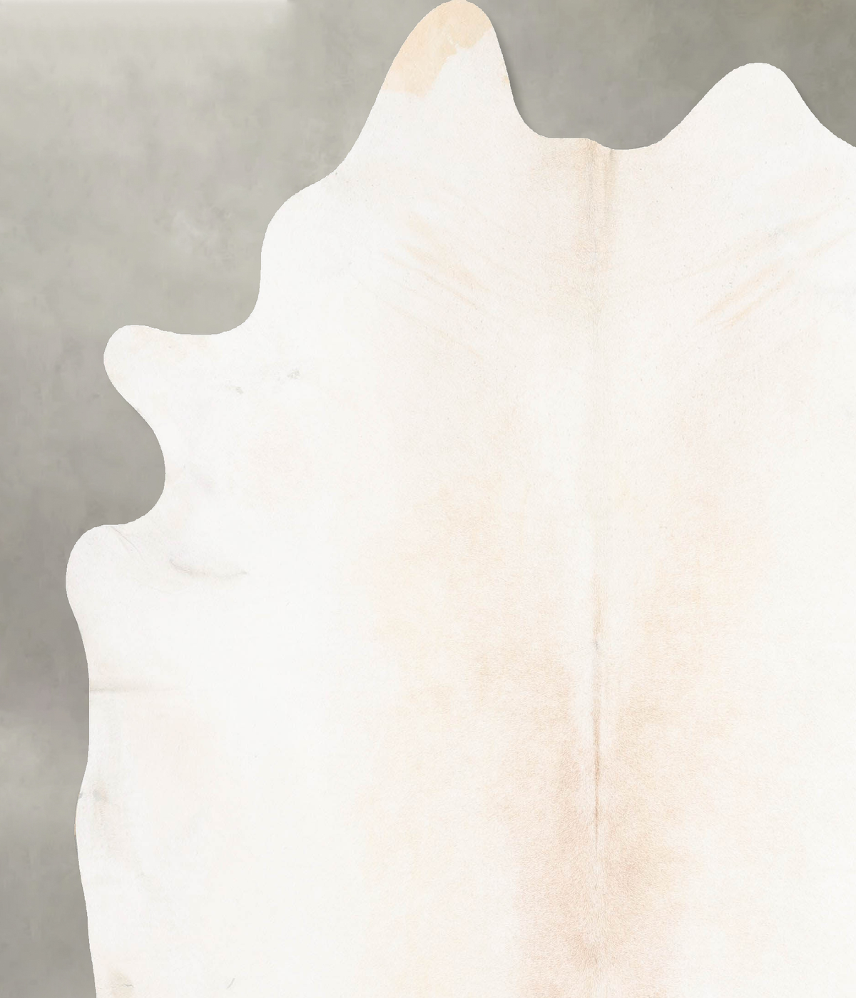 Ivory with Beige XX-Large Brazilian Cowhide Rug 8'0"H x 7'4"W #B29513 by Hudson Hides