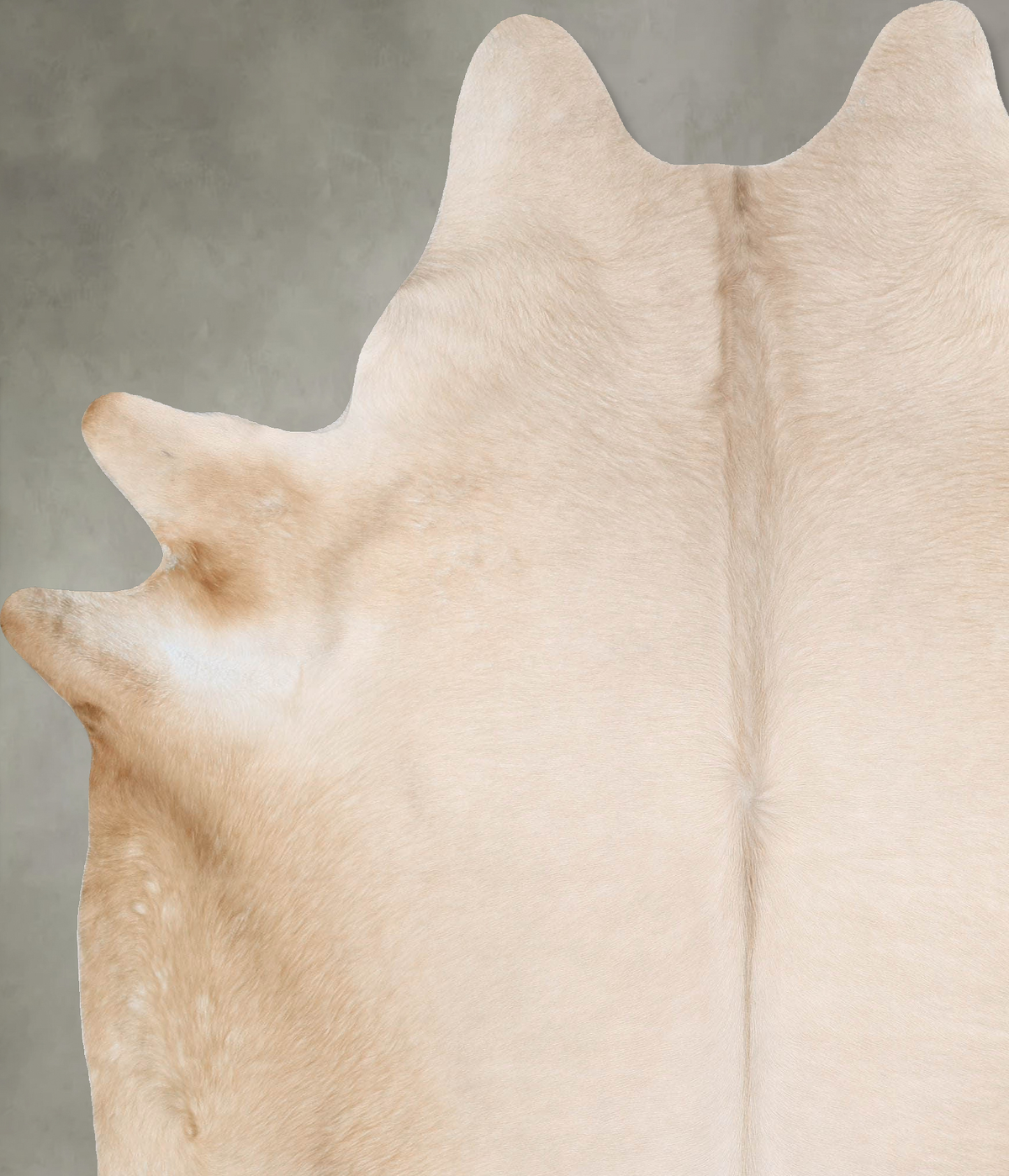 Champagne XX-Large Brazilian Cowhide Rug 8'3"H x 6'9"W #B29514 by Hudson Hides