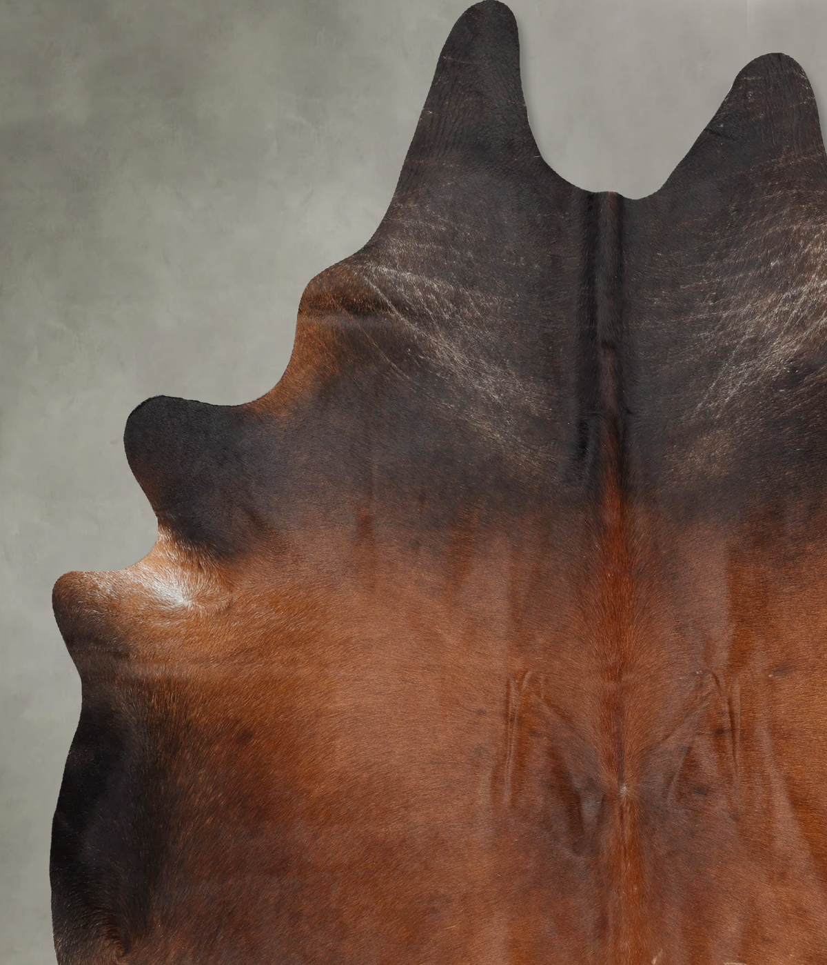 Warm Caramel XX-Large Brazilian Cowhide Rug 8'6"H x 7'1"W #B29516 by Hudson Hides