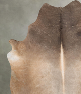 Chocolate XX-Large Brazilian Cowhide Rug 8'10"H x 6'8"W #B29518 by Hudson Hides