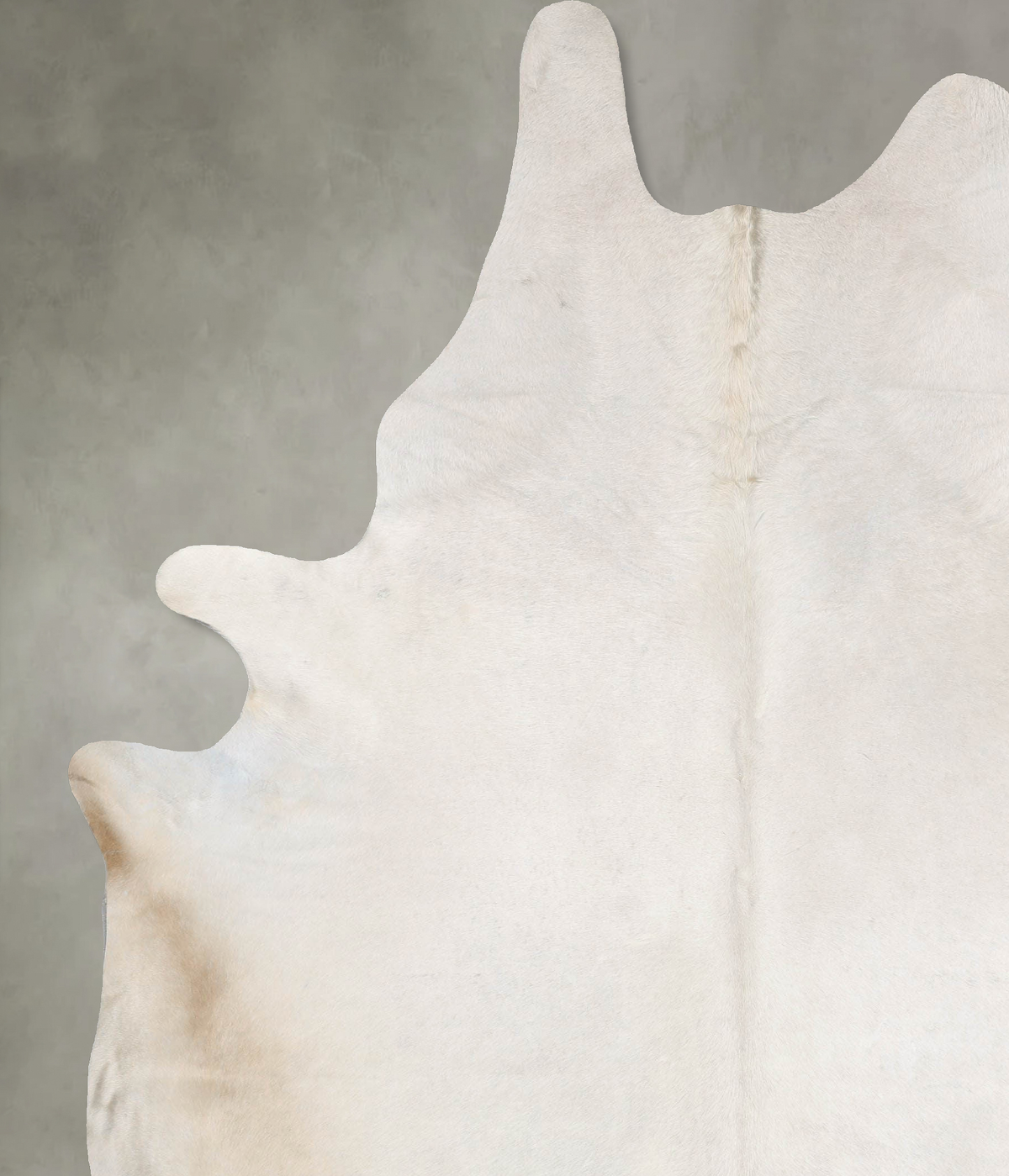 Champagne XX-Large Brazilian Cowhide Rug 9'0"H x 7'1"W #B29522 by Hudson Hides