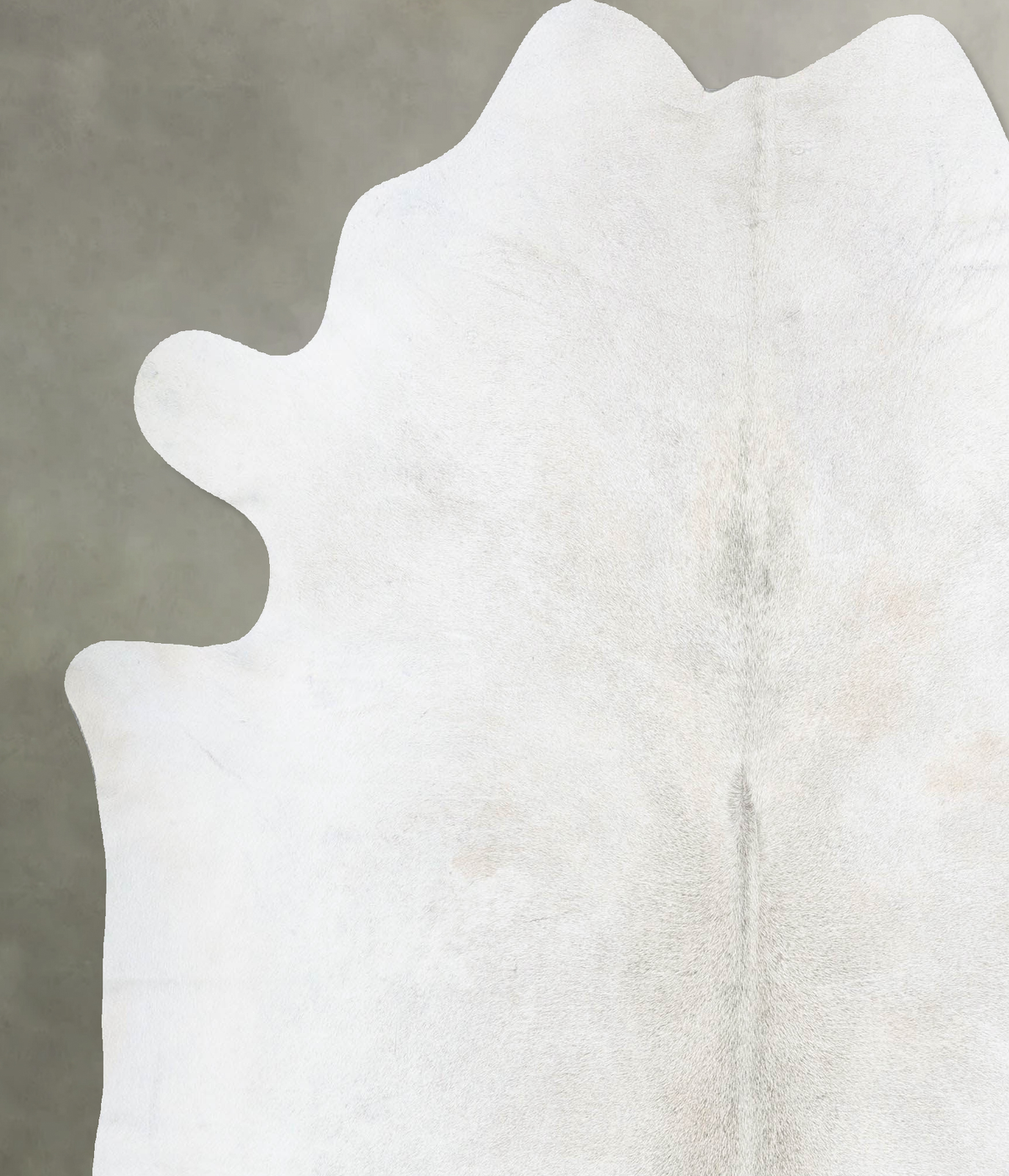 Medium Grey XX-Large Brazilian Cowhide Rug 7'8"H x 6'9"W #B29532 by Hudson Hides