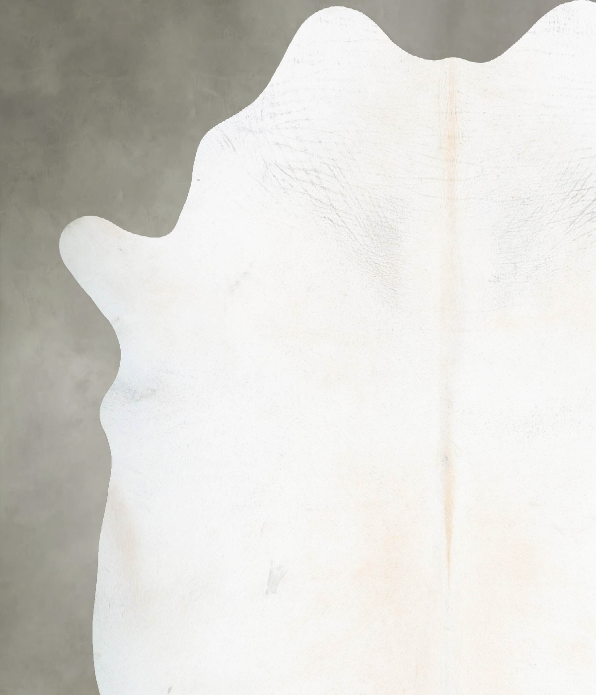 Ivory with Beige XX-Large Brazilian Cowhide Rug 8'2"H x 6'9"W #B29535 by Hudson Hides