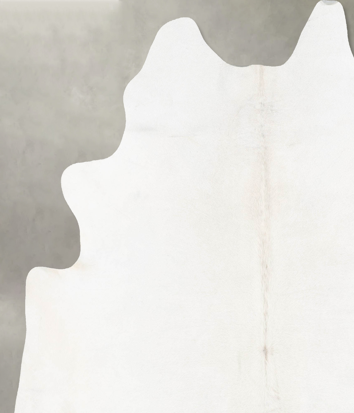 Ivory with Beige XX-Large Brazilian Cowhide Rug 7'11"H x 6'8"W #B29536 by Hudson Hides