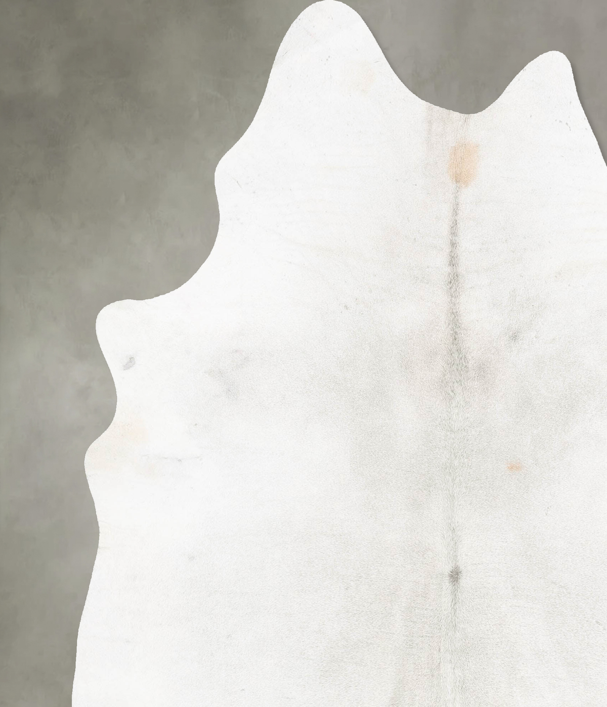 Light Grey XX-Large Brazilian Cowhide Rug 8'4"H x 6'8"W #B29540 by Hudson Hides