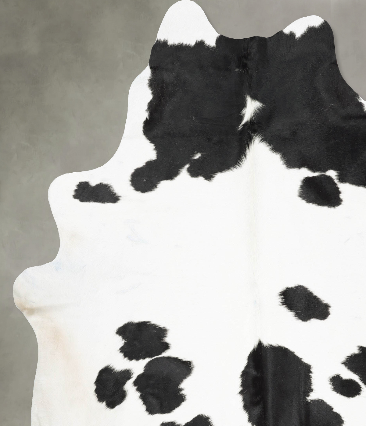 Black and White XX-Large Brazilian Cowhide Rug 8'0"H x 7'4"W #B29541 by Hudson Hides