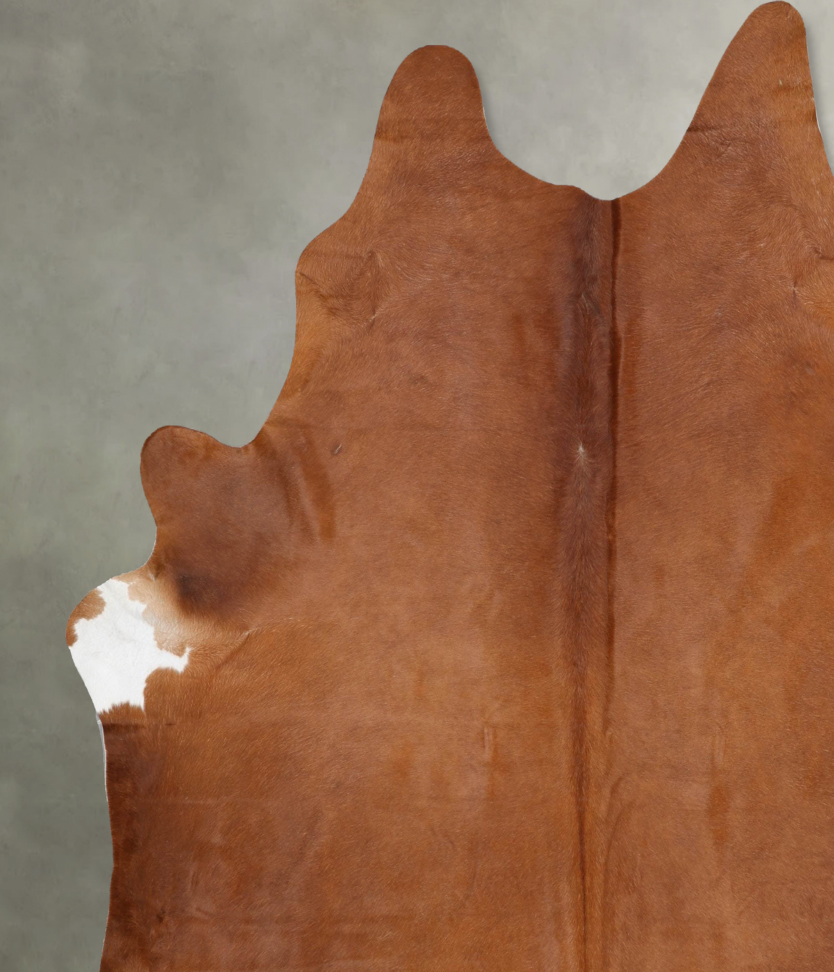 Solid Brown XX-Large Brazilian Cowhide Rug 9'0"H x 7'10"W #B29544 by Hudson Hides