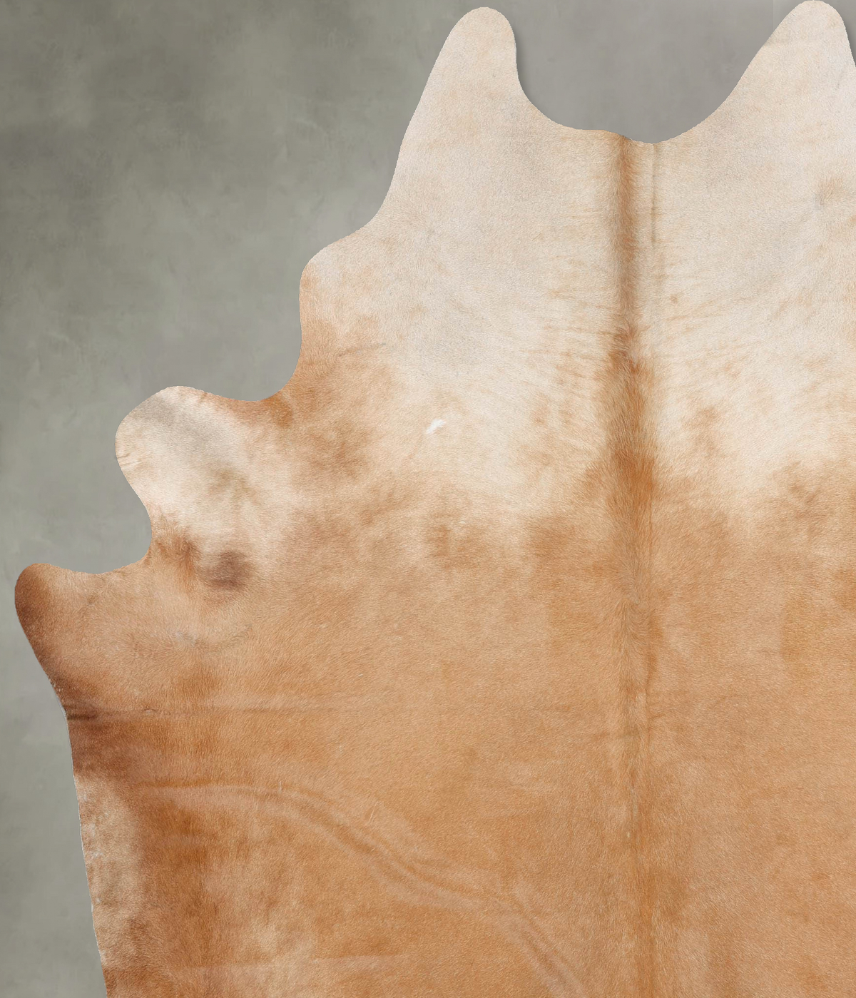 Light Caramel XX-Large Brazilian Cowhide Rug 8'3"H x 6'10"W #B29545 by Hudson Hides