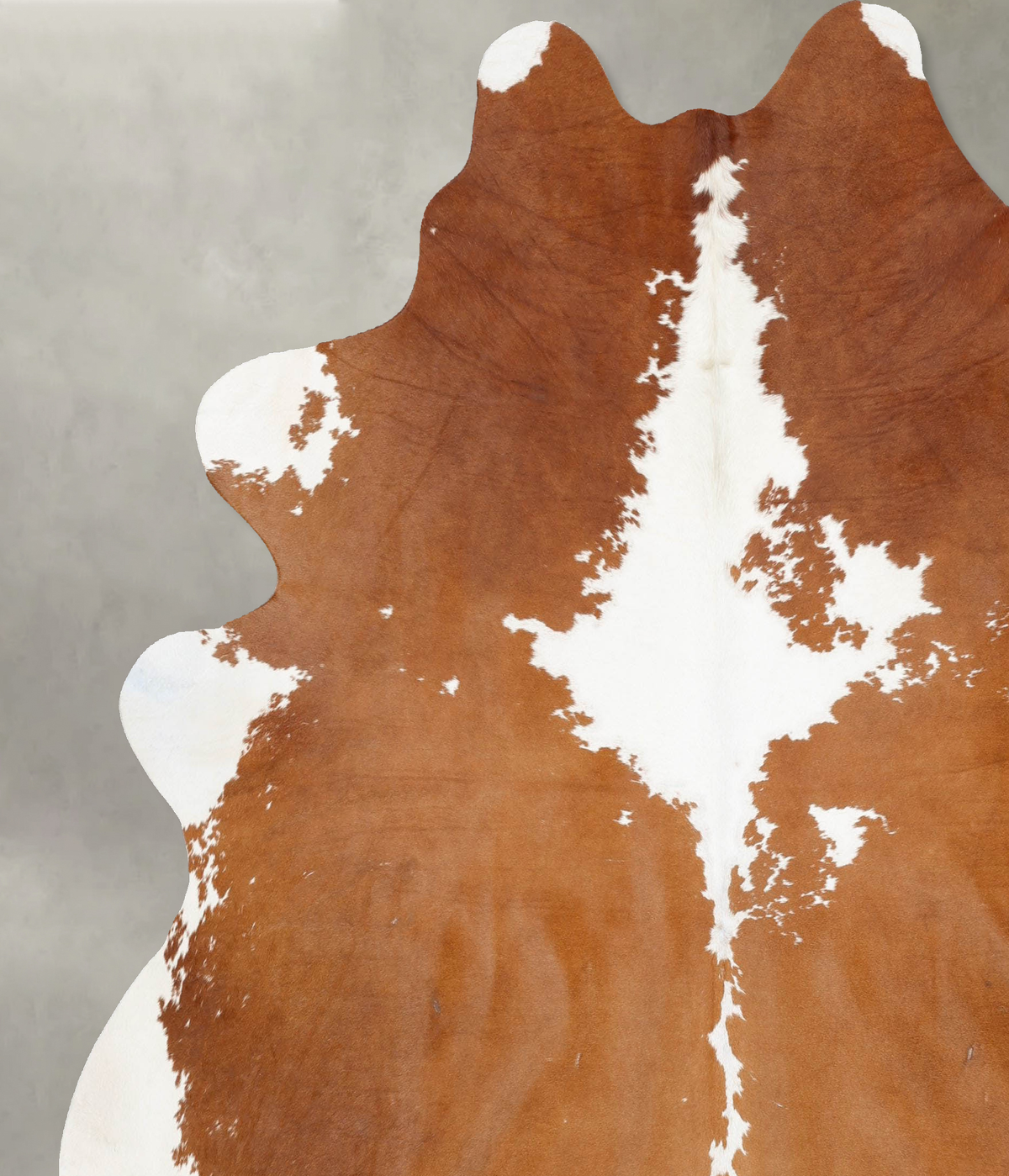 Brown and White XX-Large Brazilian Cowhide Rug 8'2"H x 7'4"W #B29546 by Hudson Hides