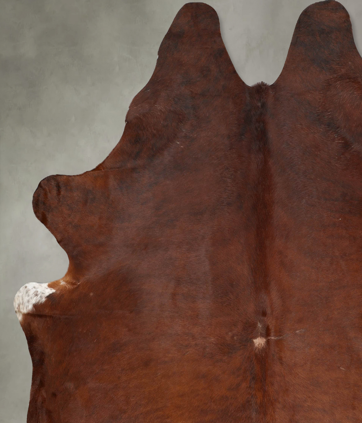 Medium Brindle XX-Large Brazilian Cowhide Rug 9'0"H x 7'8"W #B29554 by Hudson Hides