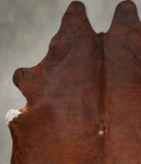 Medium Brindle XX-Large Brazilian Cowhide Rug 9'0"H x 7'8"W #B29554 by Hudson Hides