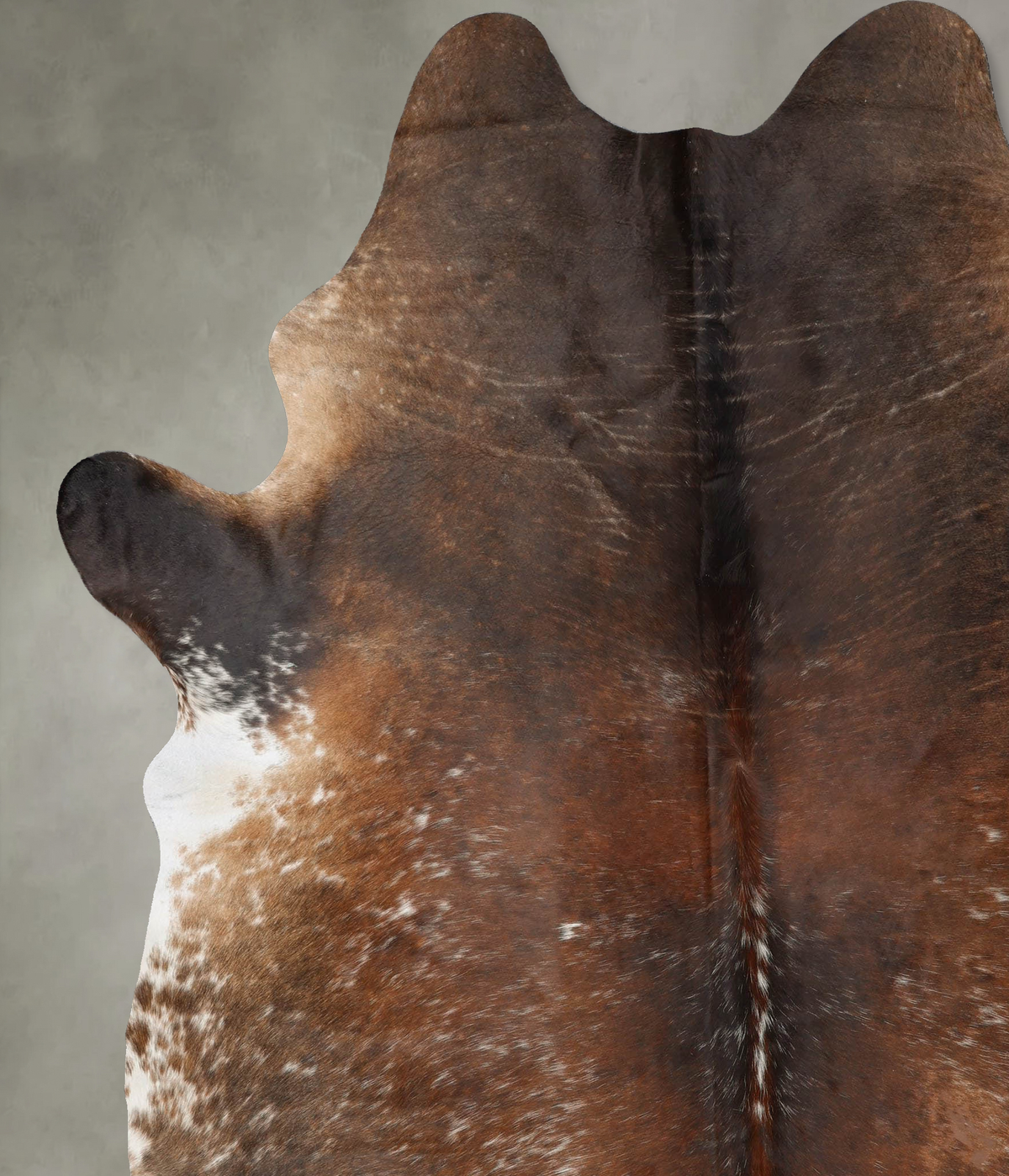Salt and Pepper Brown XX-Large Brazilian Cowhide Rug 8'7"H x 6'11"W #B29562 by Hudson Hides