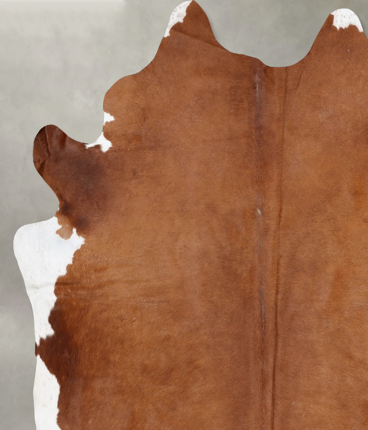Brown and White Regular XX-Large Brazilian Cowhide Rug 9'2"H x 7'6"W #B29567 by Hudson Hides