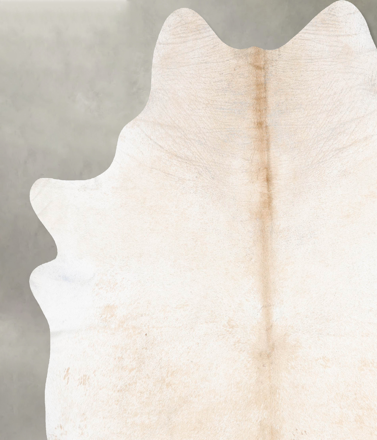 Palomino XX-Large Brazilian Cowhide Rug 9'1"H x 7'6"W #B29569 by Hudson Hides