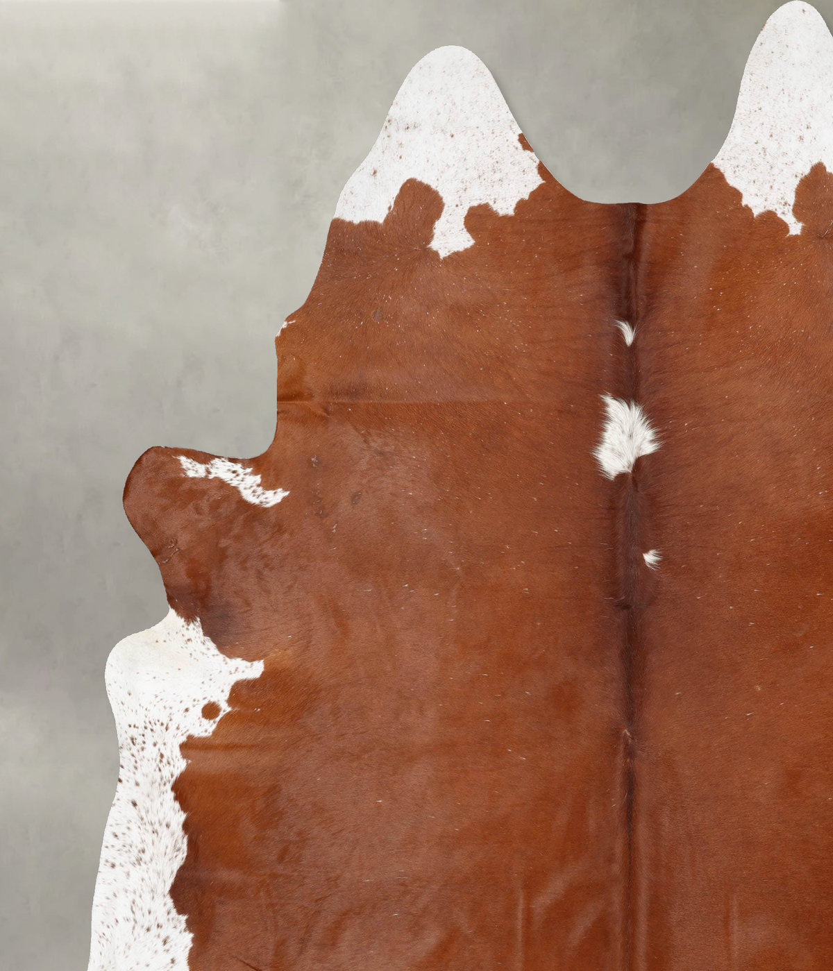 Brown and White Regular XX-Large Brazilian Cowhide Rug 9'7"H x 7'8"W #B29571 by Hudson Hides