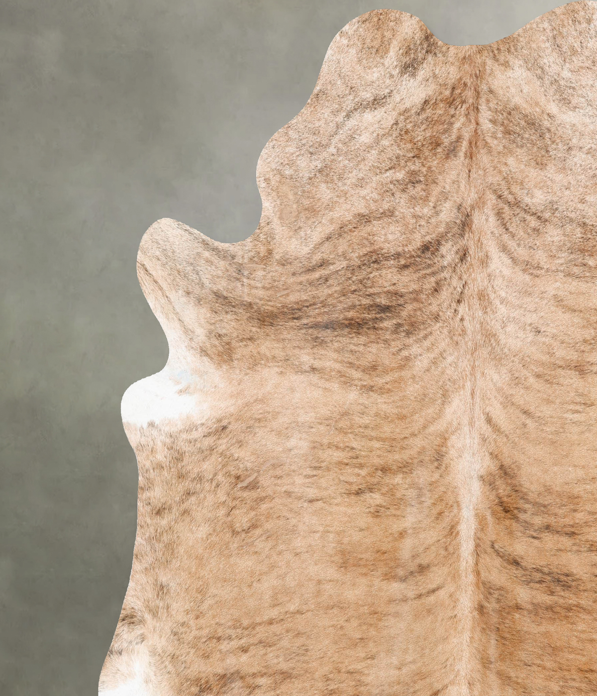 Light Brindle XX-Large Brazilian Cowhide Rug 8'3"H x 7'1"W #B29576 by Hudson Hides