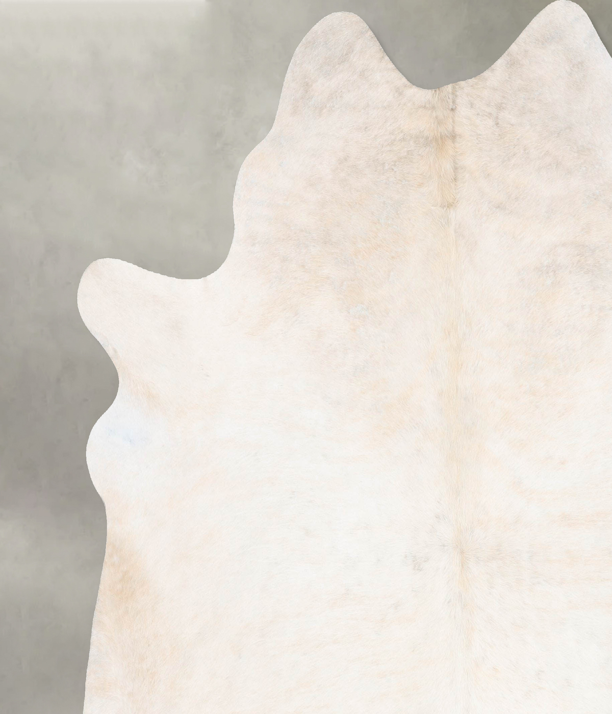 Palomino XX-Large Brazilian Cowhide Rug 8'2"H x 7'2"W #B29578 by Hudson Hides