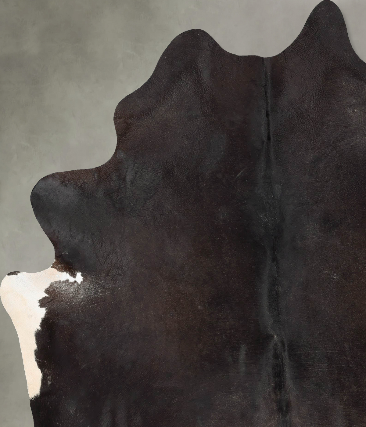 Chocolate XX-Large Brazilian Cowhide Rug 8'3"H x 6'3"W #B29583 by Hudson Hides