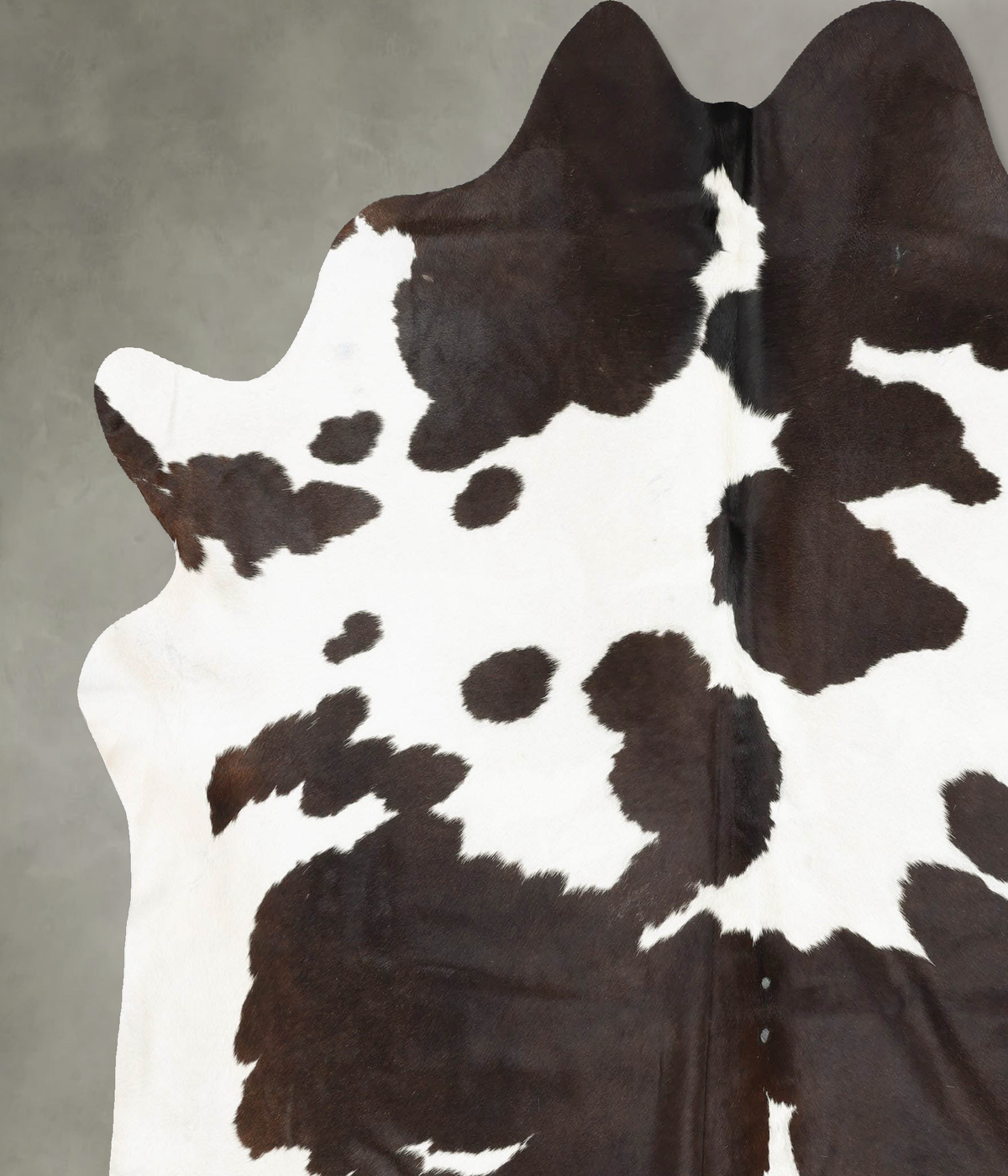 Chocolate and White XX-Large Brazilian Cowhide Rug 8'2"H x 7'0"W #B29594 by Hudson Hides