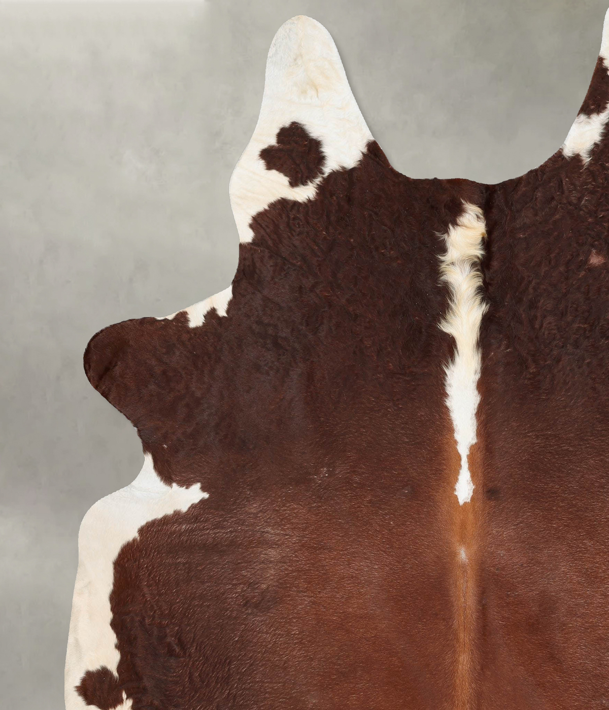 Brown and White Regular XX-Large Brazilian Cowhide Rug 8'6"H x 6'11"W #B29603 by Hudson Hides