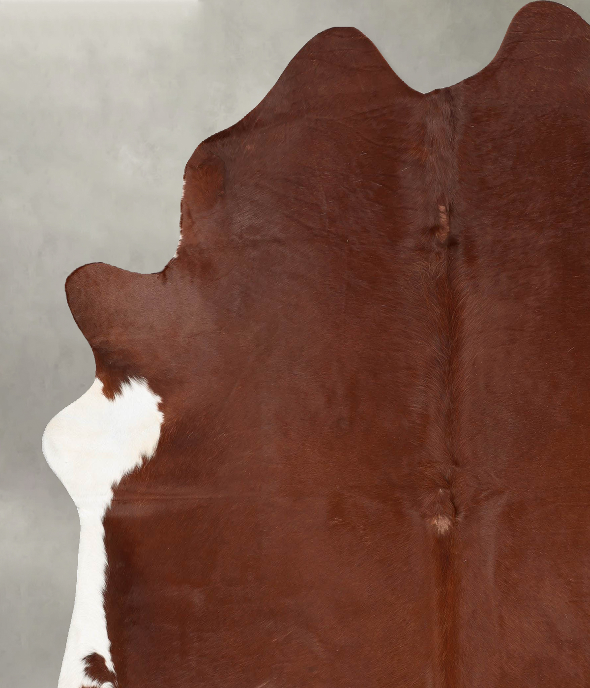 Solid Brown XX-Large Brazilian Cowhide Rug 7'8"H x 7'0"W #B29607 by Hudson Hides