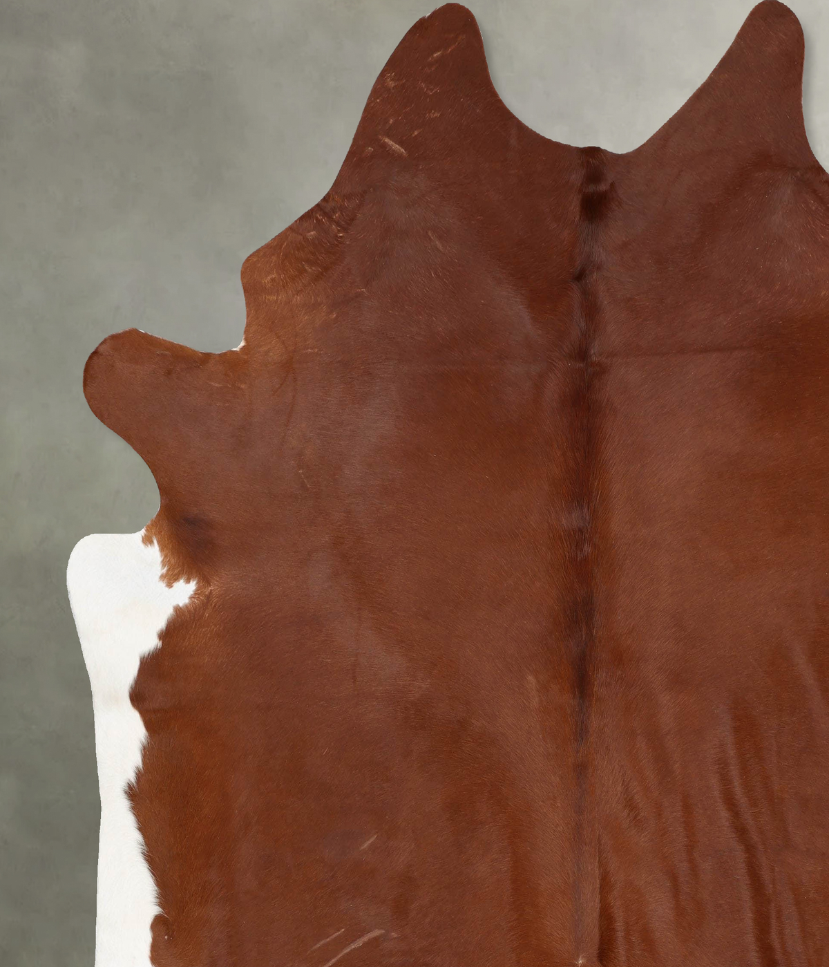 Solid Brown XX-Large Brazilian Cowhide Rug 8'7"H x 7'7"W #B29608 by Hudson Hides