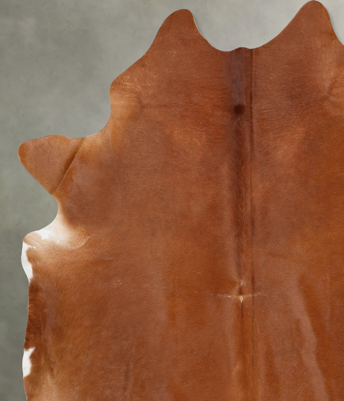 Solid Brown XX-Large Brazilian Cowhide Rug 8'3"H x 7'6"W #B29609 by Hudson Hides