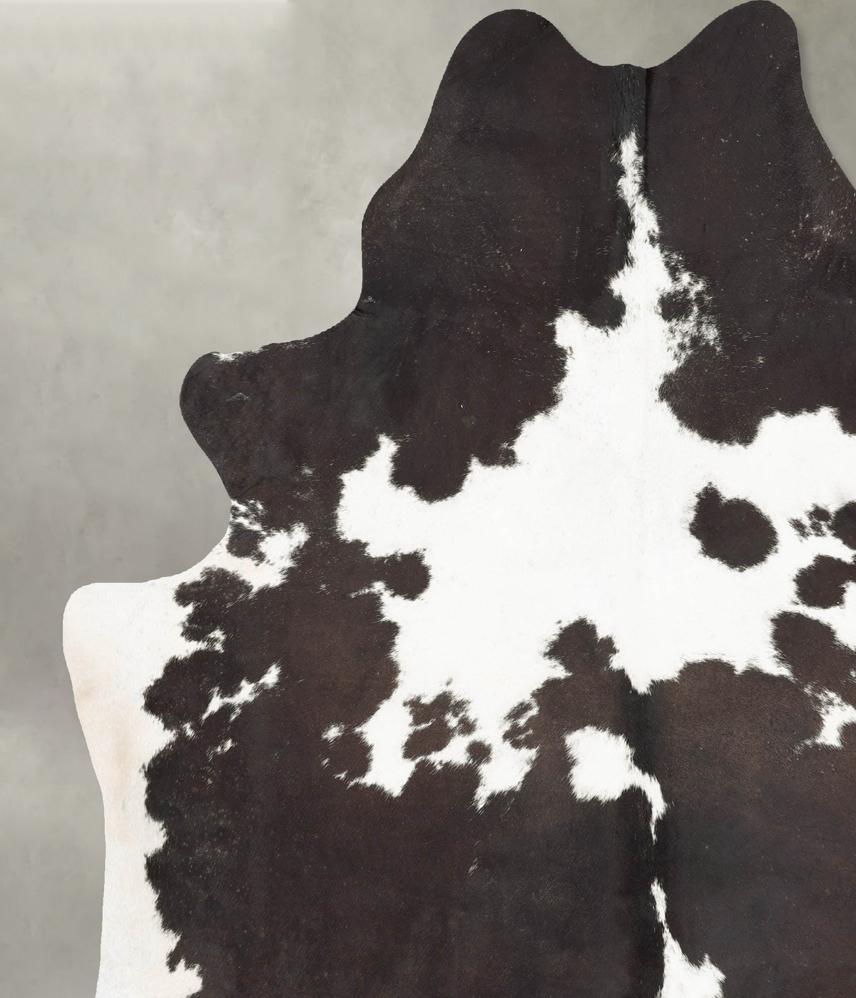 Chocolate and White XX-Large Brazilian Cowhide Rug 8'1"H x 6'9"W #B29615 by Hudson Hides
