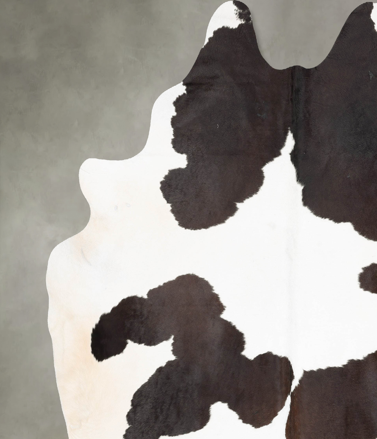 Chocolate and White XX-Large Brazilian Cowhide Rug 9'1"H x 7'6"W #B29617 by Hudson Hides