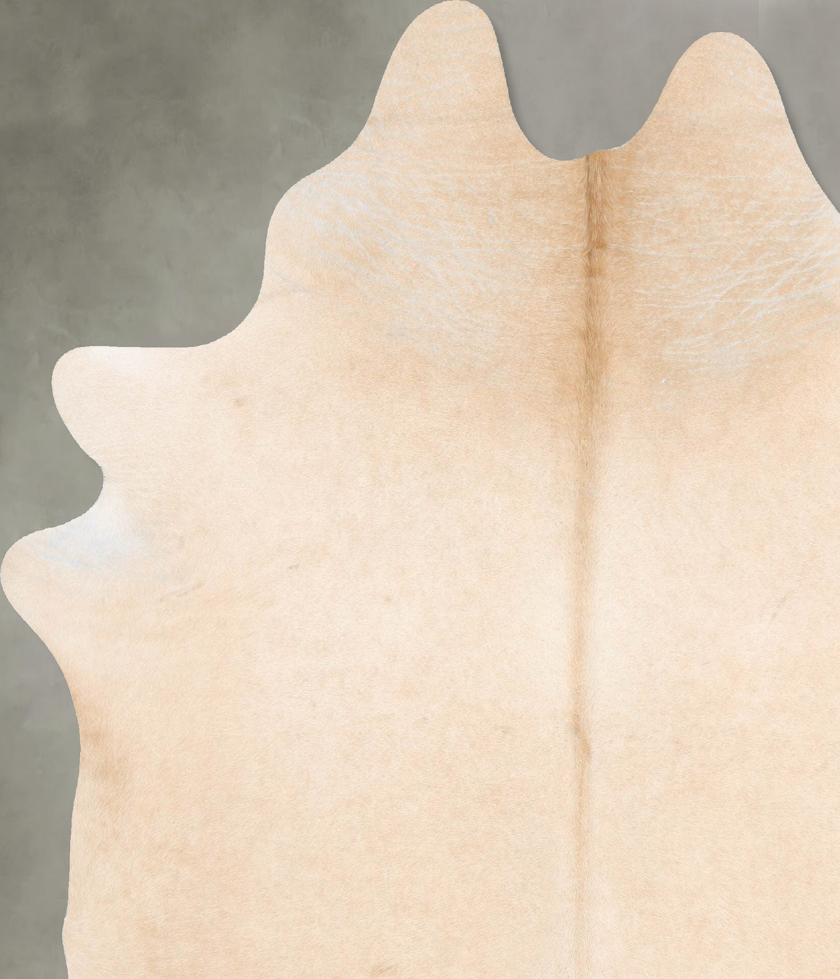 Palomino XX-Large Brazilian Cowhide Rug 7'11"H x 6'6"W #B29618 by Hudson Hides