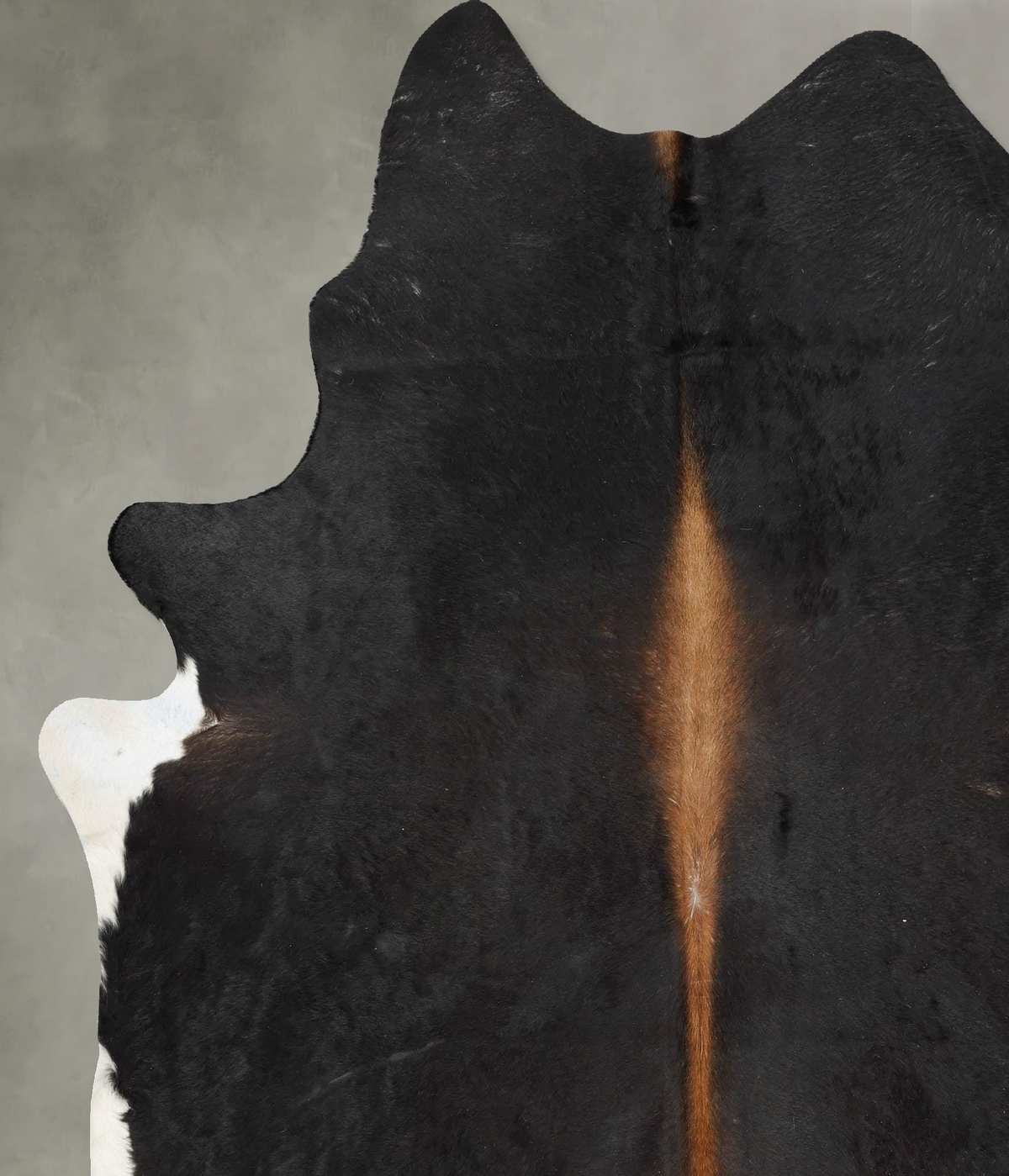 Chocolate XX-Large Brazilian Cowhide Rug 7'10"H x 6'8"W #B29620 by Hudson Hides