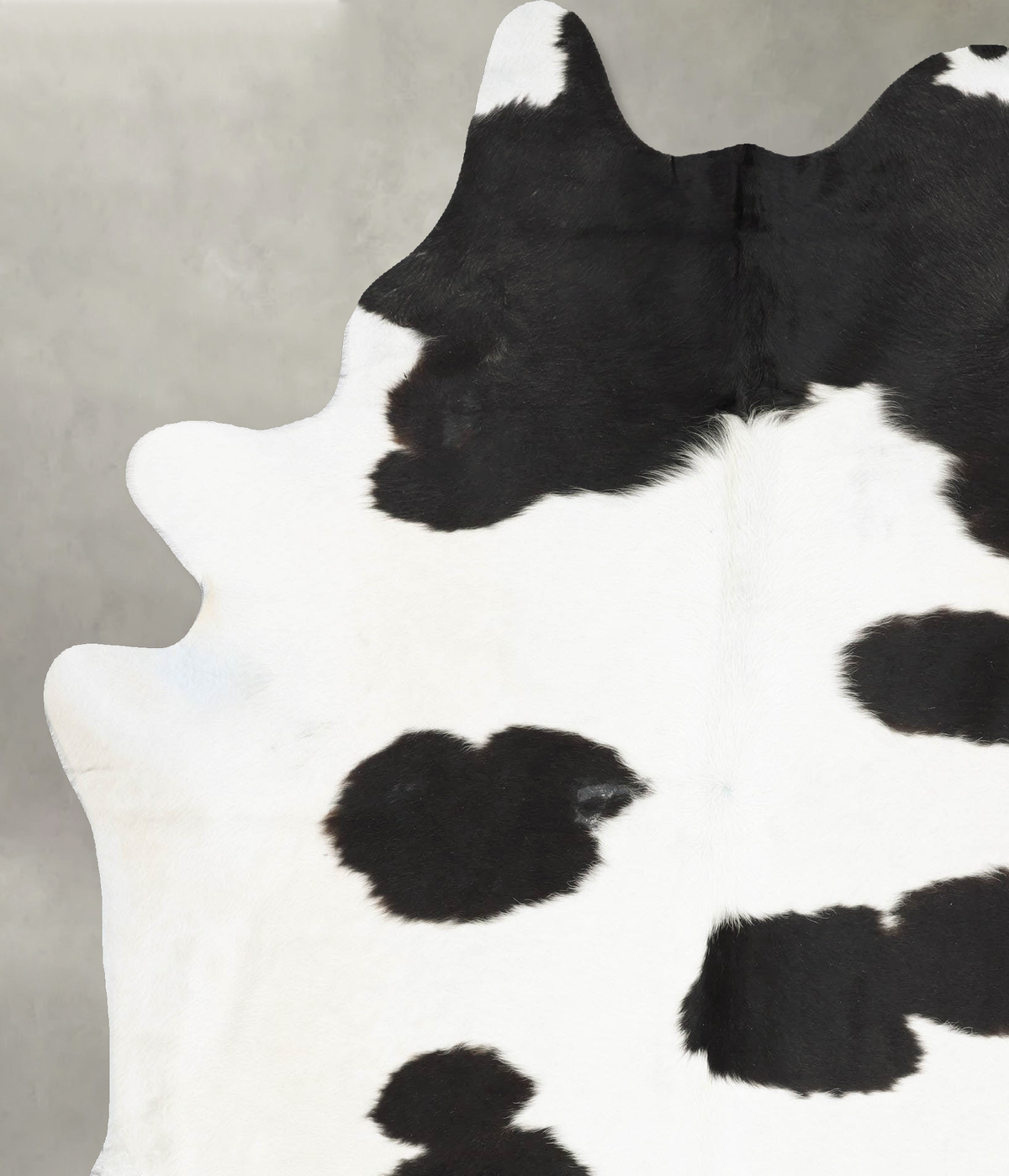 Black and White XX-Large Brazilian Cowhide Rug 8'3"H x 6'5"W #B29621 by Hudson Hides