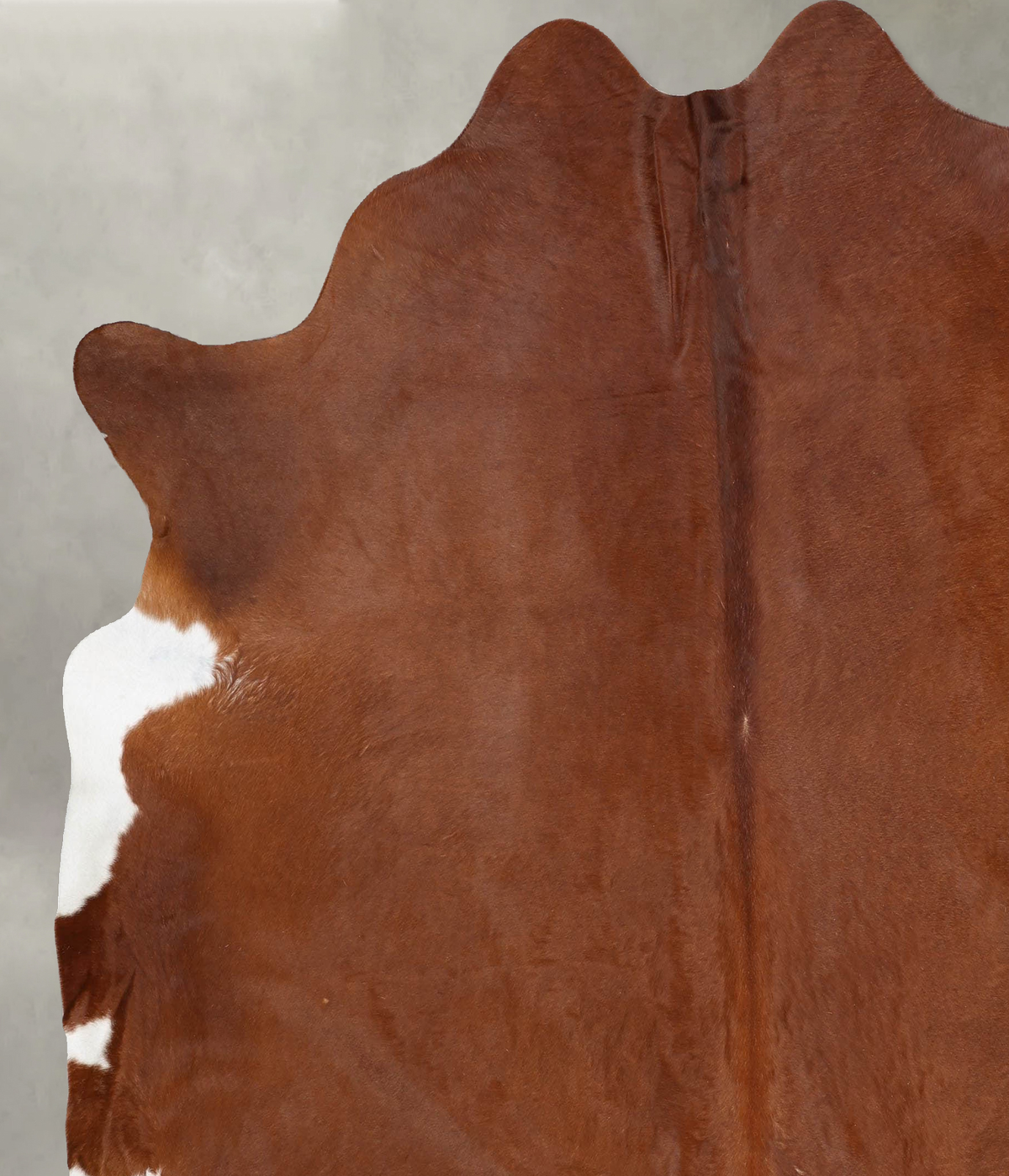 Solid Brown XX-Large Brazilian Cowhide Rug 7'10"H x 7'2"W #B29622 by Hudson Hides