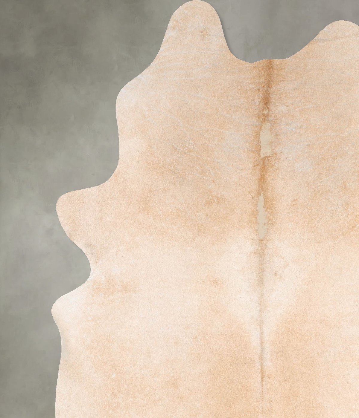 Palomino XX-Large Brazilian Cowhide Rug 9'4"H x 7'6"W #B29623 by Hudson Hides