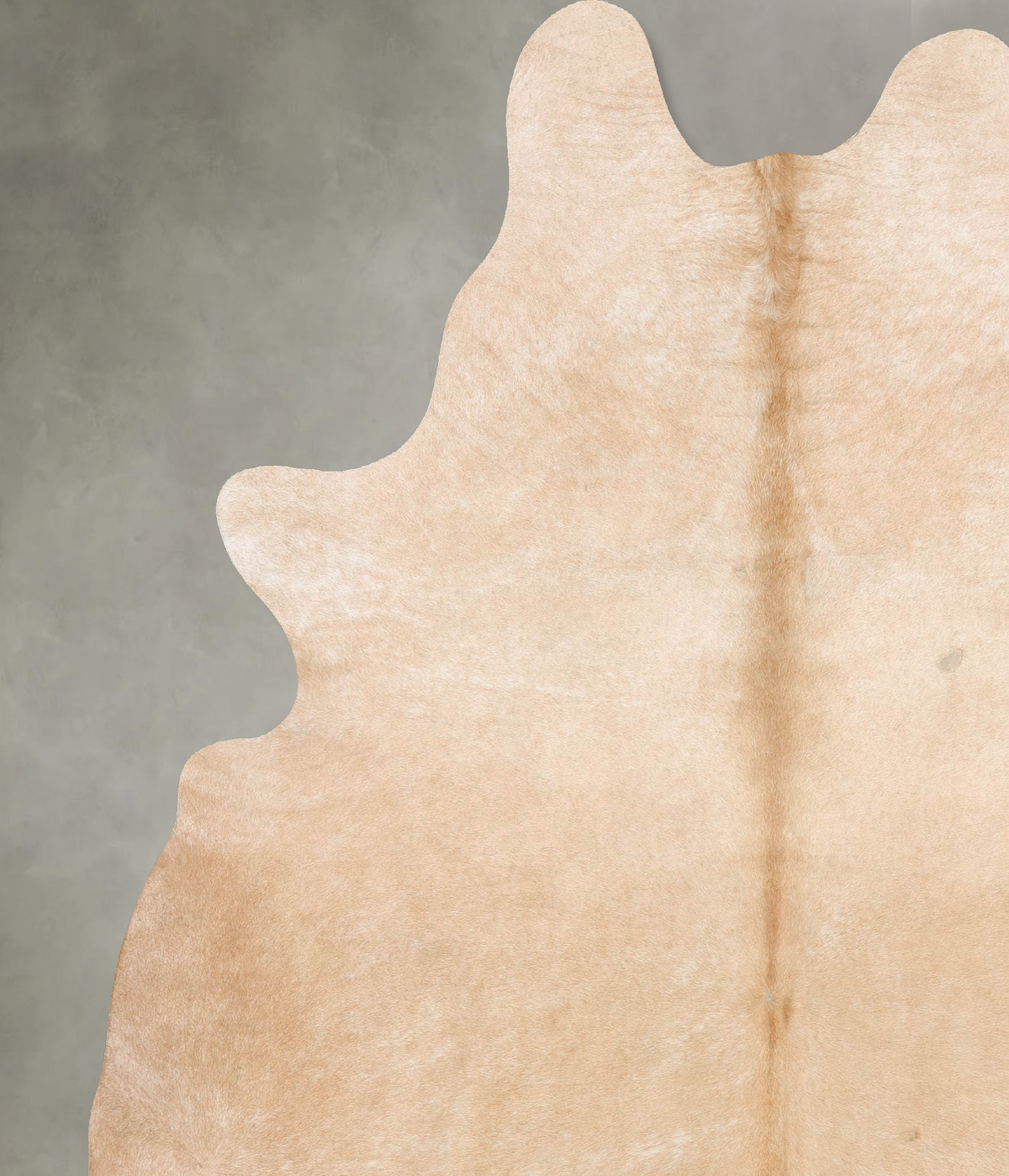 Palomino XX-Large Brazilian Cowhide Rug 8'1"H x 6'9"W #B29627 by Hudson Hides