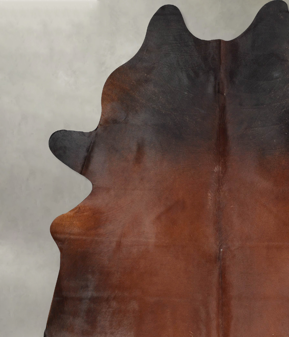 Warm Caramel XX-Large Brazilian Cowhide Rug 8'6"H x 7'0"W #B29629 by Hudson Hides