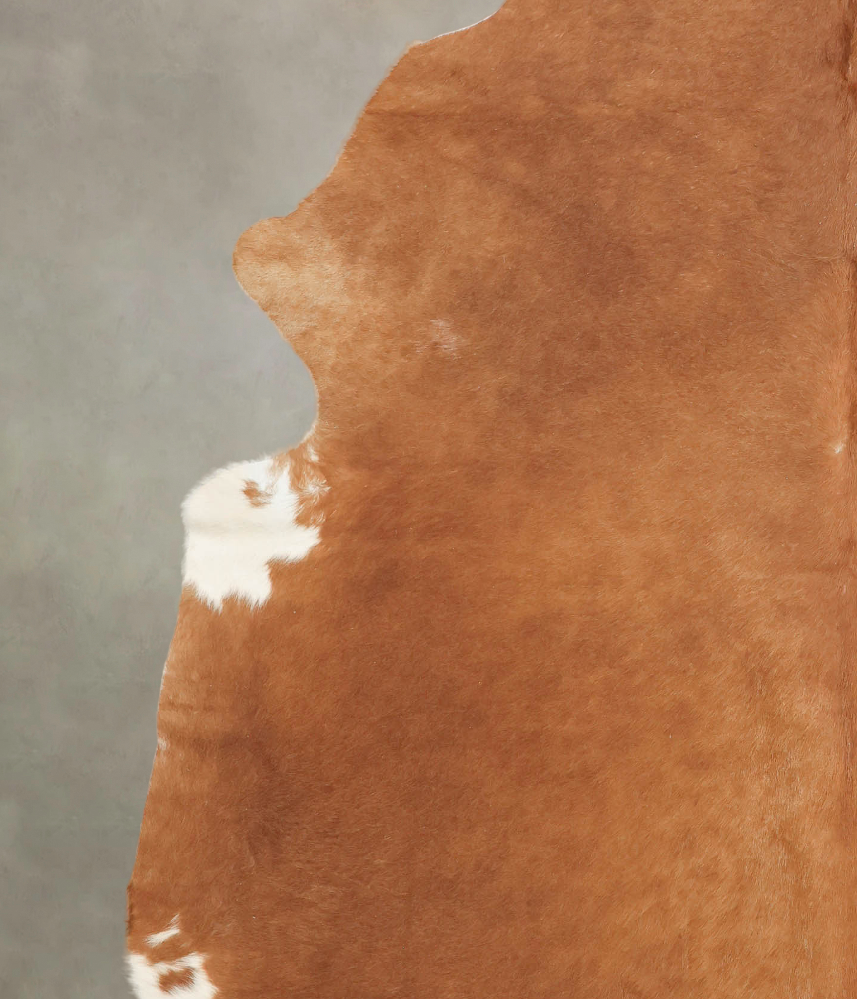 Brown and White Regular Cowhide Rug #B2963